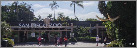 Le plus grand Zoo du monde