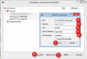 Connection to Mumble