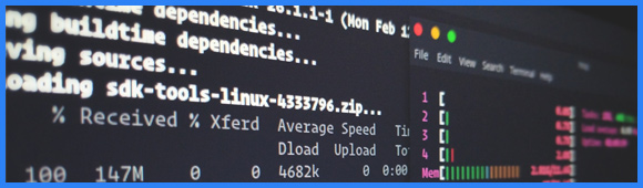 Télécharger un fichier en ligne de commande sous Linux