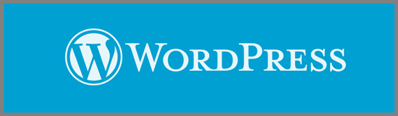 Bannière WordPress