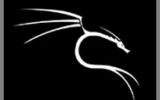 Logo-Kali-Linux