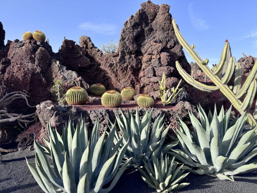 Le jardin de Cactus - Lanzarote (1)