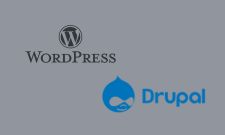 wordpress-vs-drupal