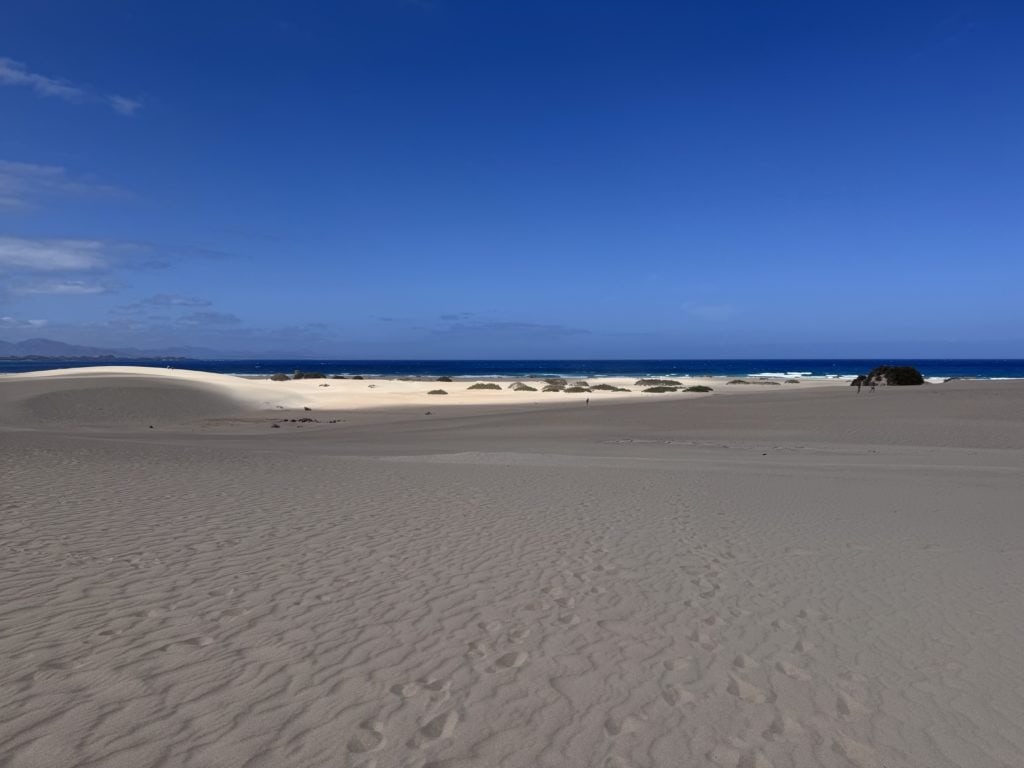 Dunes de Corralejo