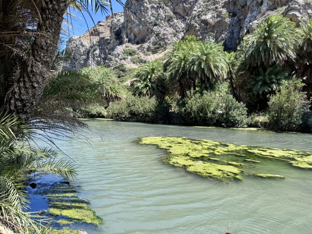 Côté palmeraie et donc eau douce