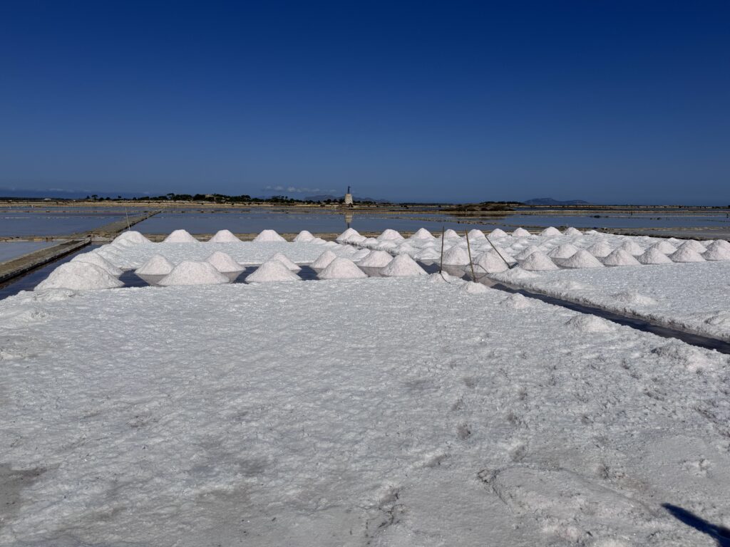 Salines de Marsala (2)