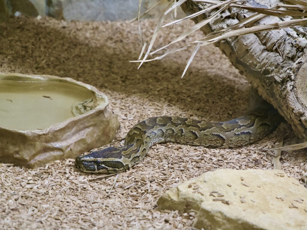 Et ça encore c'est un petit, il y en avait des biens plus gros !